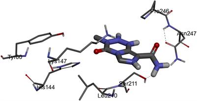 Targeting NF-κB signaling cascades of glioblastoma by a natural benzophenone, garcinol, via in vitro and molecular docking approaches